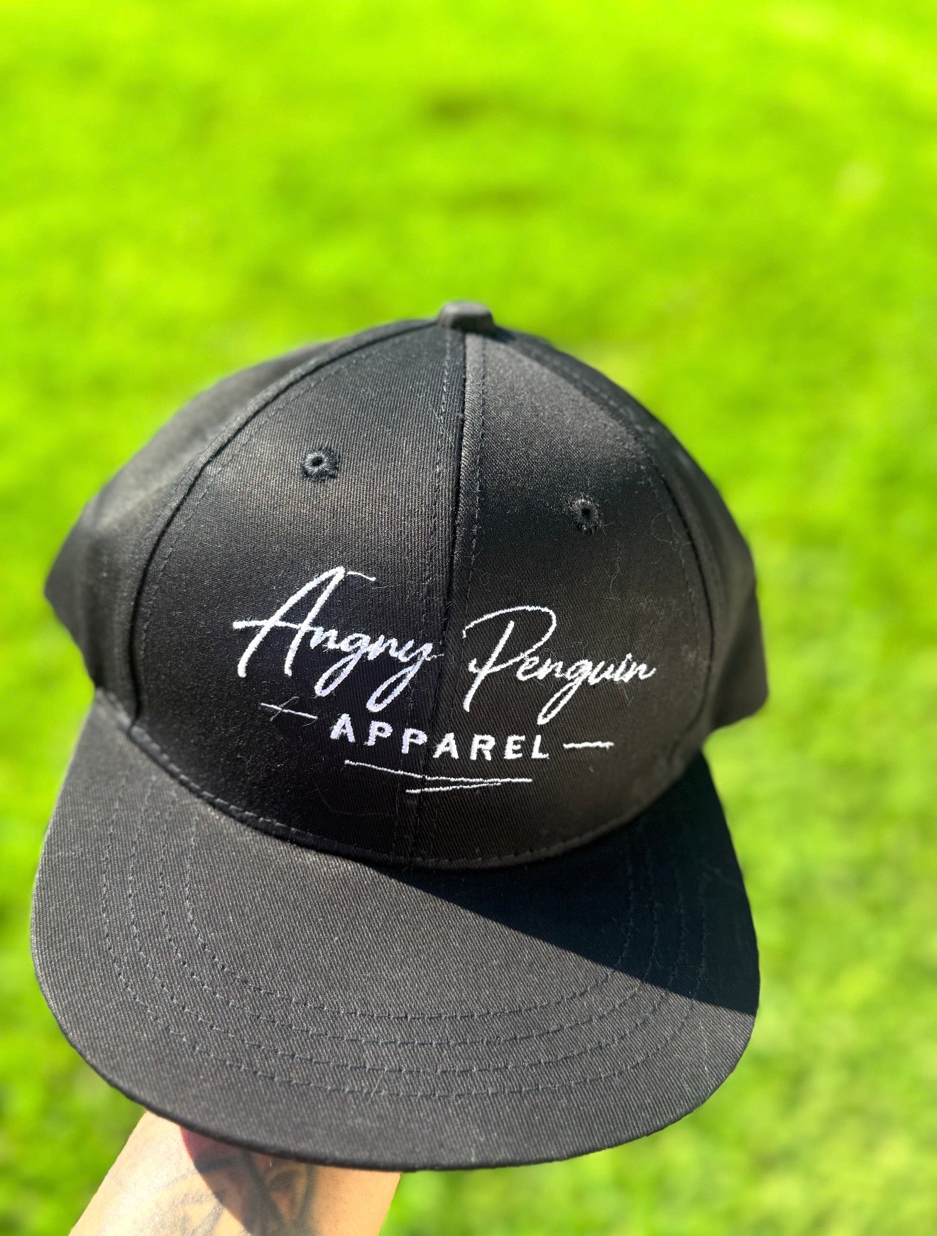 Classic AP Hat