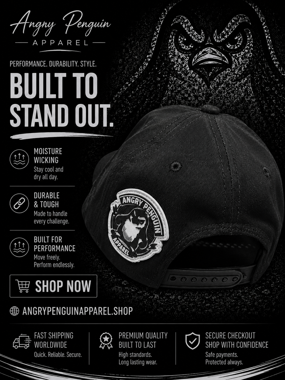 Classic AP Hat