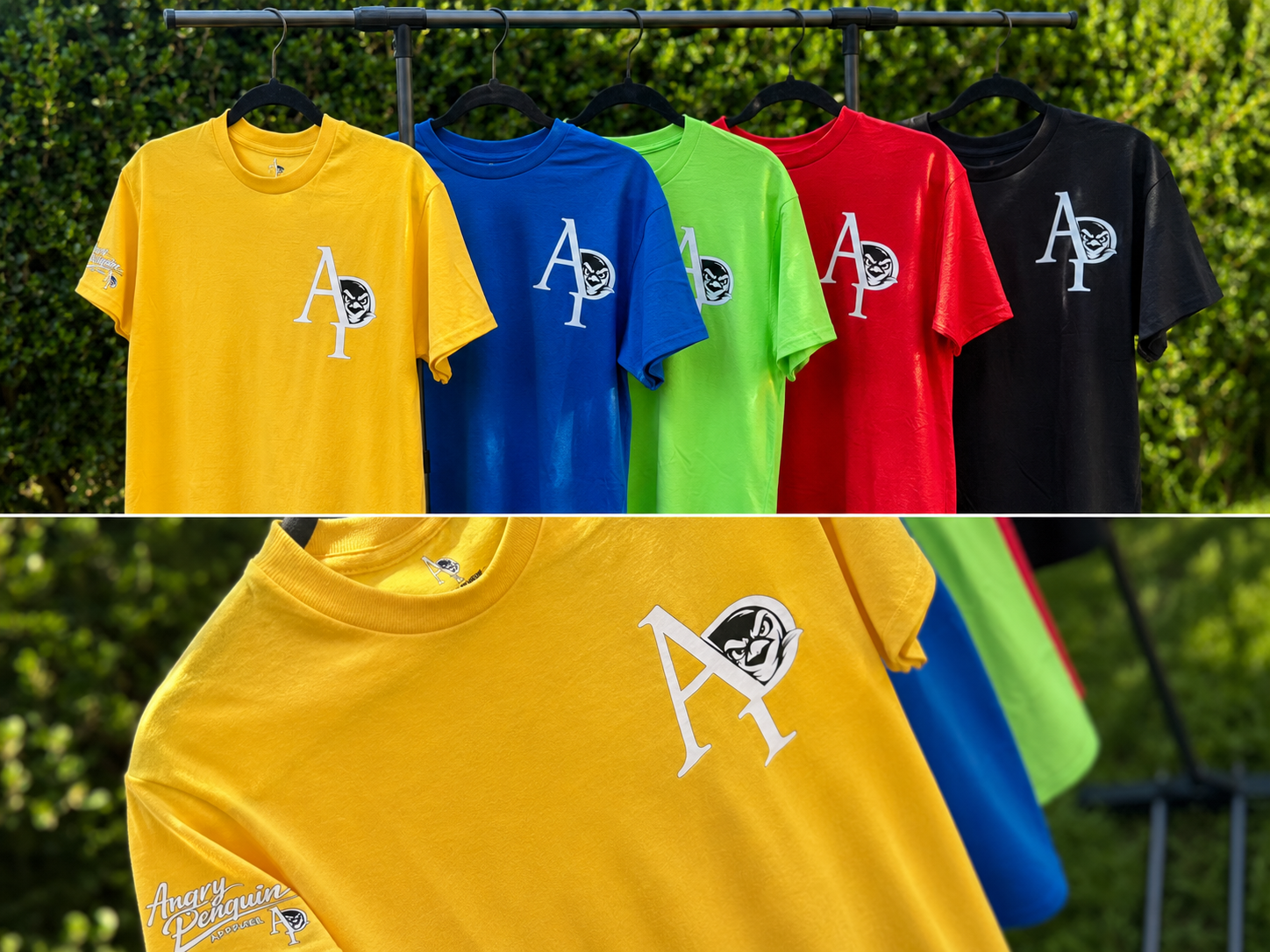 AP Collection